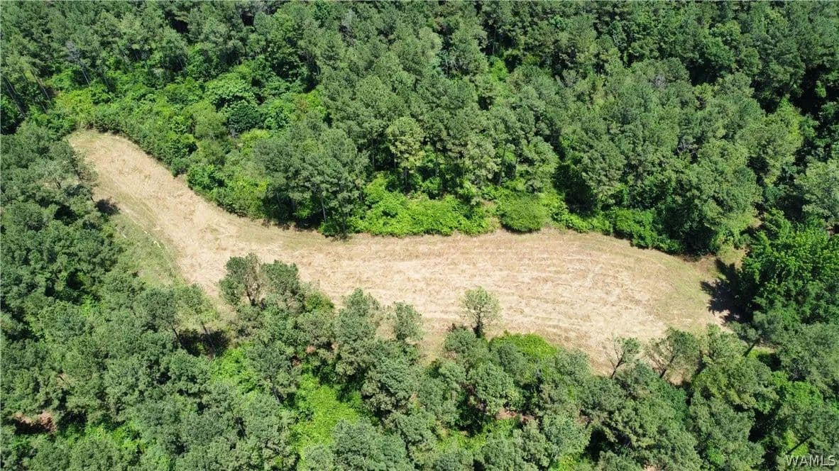 125 Acres of Land for Sale in Elrod, Alabama - Elrod, Alabama, 35458