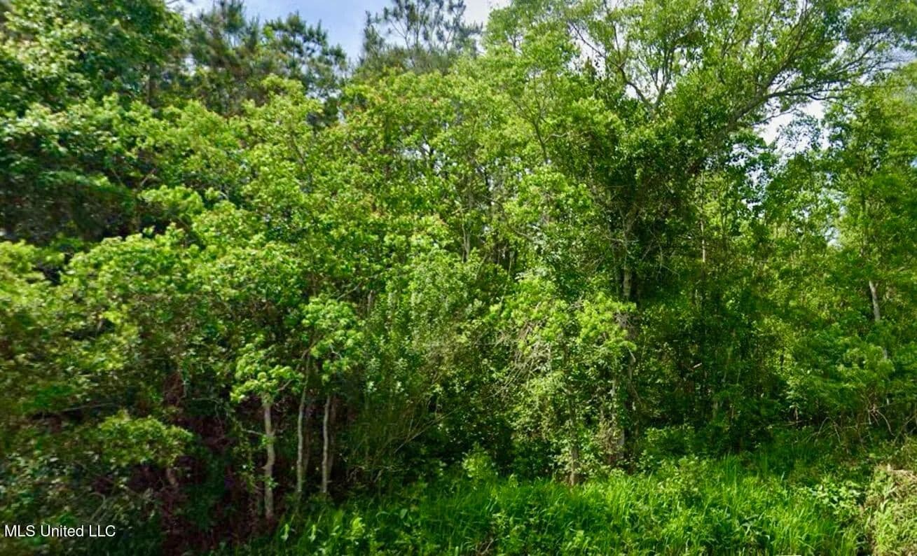 Property from Vacation Lane - KW - Waveland, Mississippi, 39576