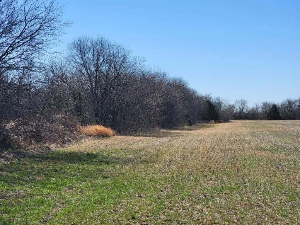 20 Acres of Land for Sale in Tioga, Texas - Tioga, Texas, 76271