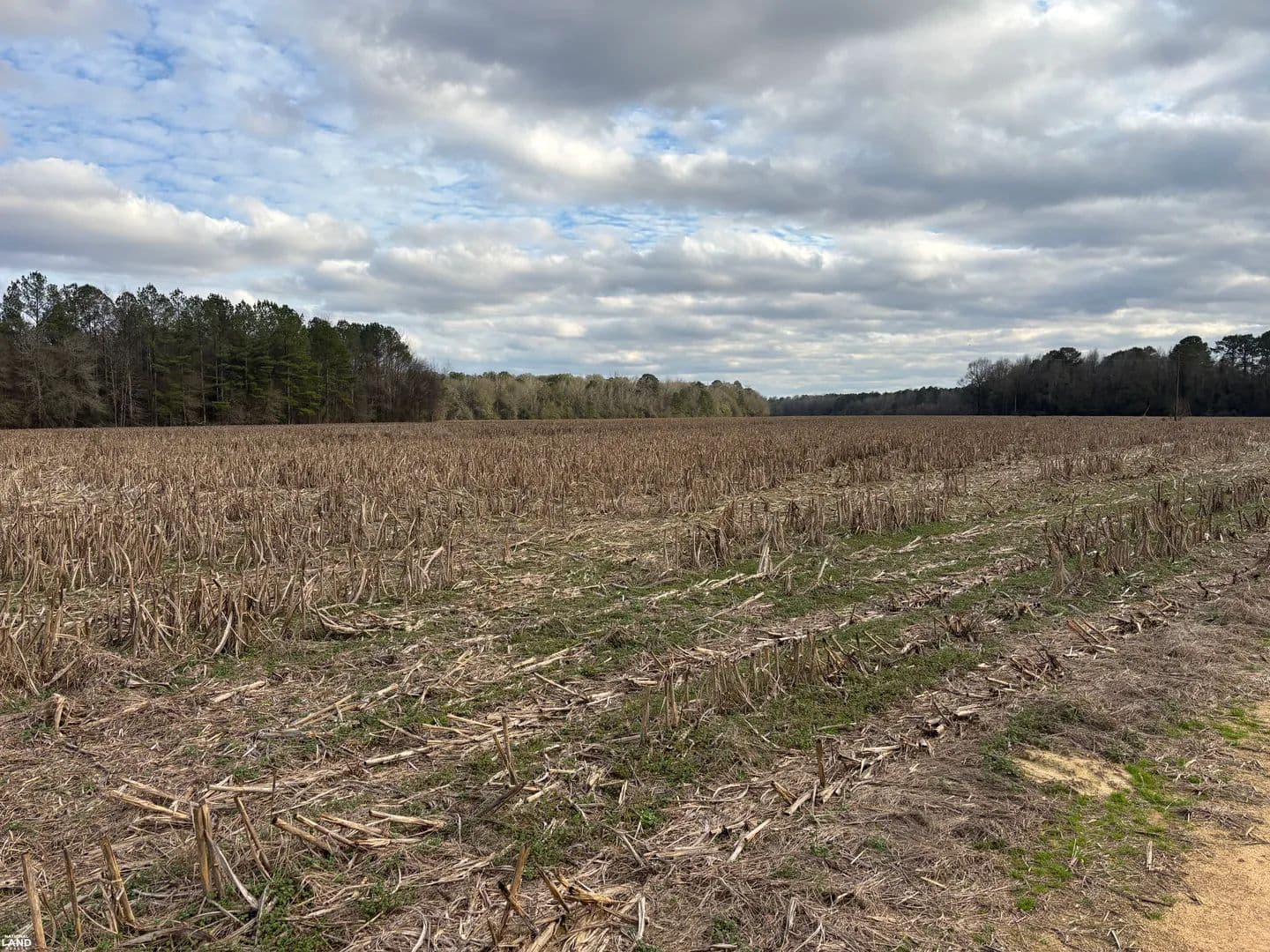 Tyler Tract - Tyler, Alabama, 36785