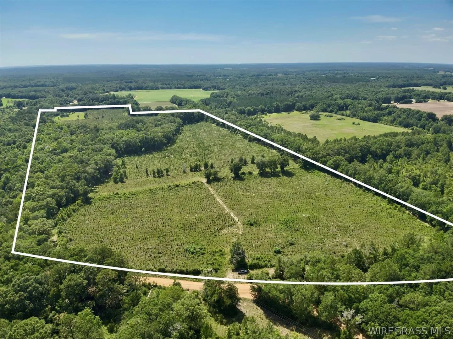 60 Acres of Land for Sale in Hartford, AL - Hartford, Alabama, 36344