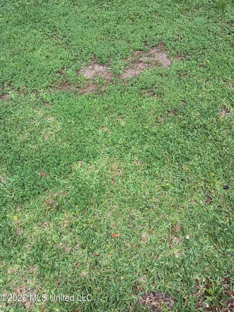 Property from Weisenberger Road - KW - Gluckstadt, Mississippi, 39110