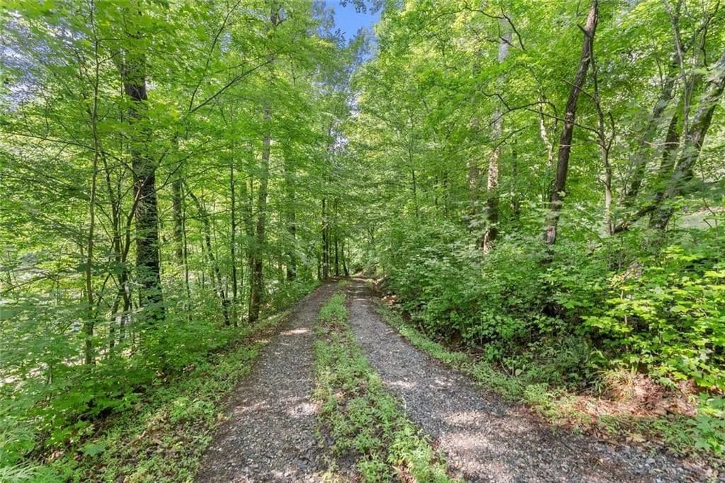 Property from 0 Long Branch Road - KW - Dahlonega, Georgia, 30533