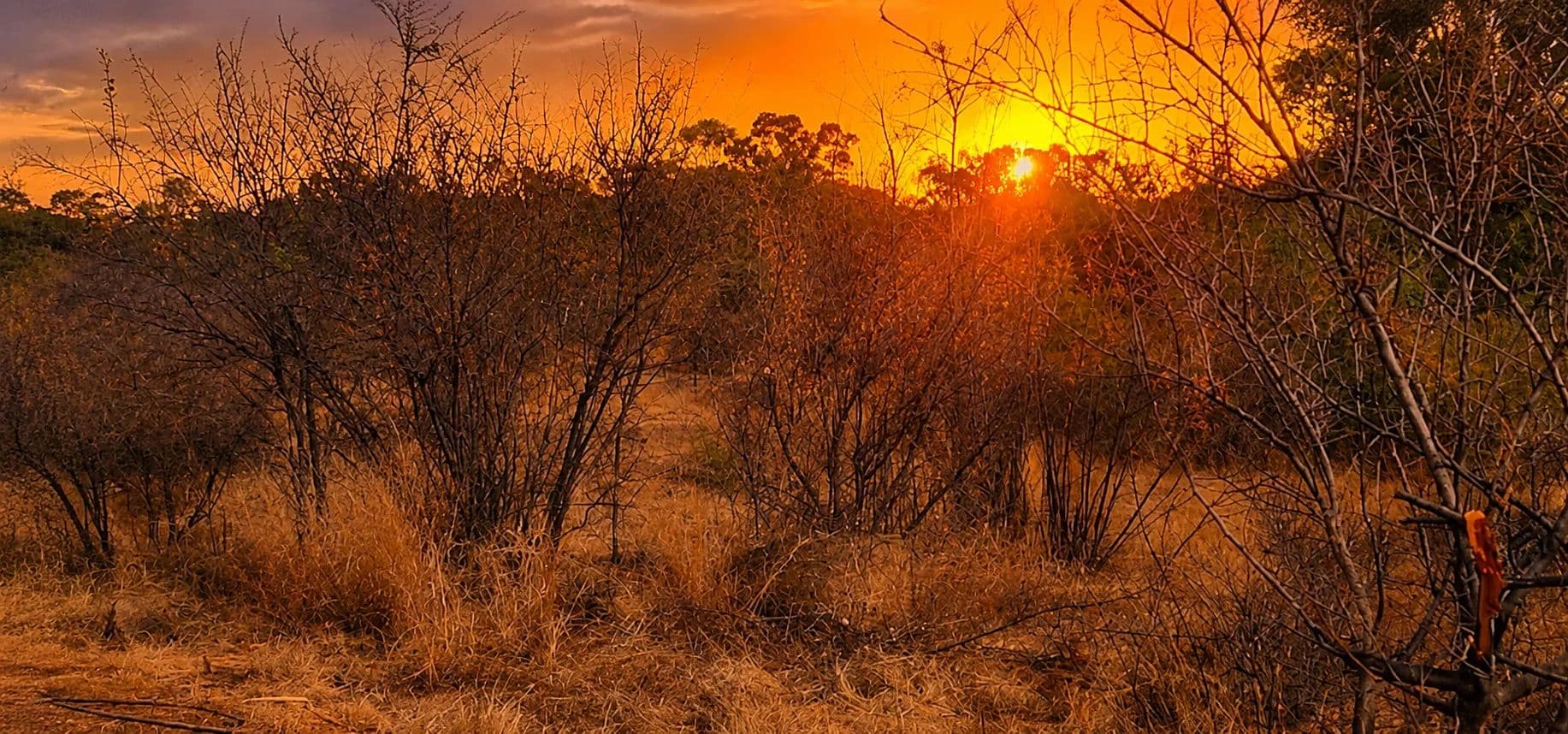 1355 Acres of Land for Sale in Vaal Marina, Gauteng - land for sale