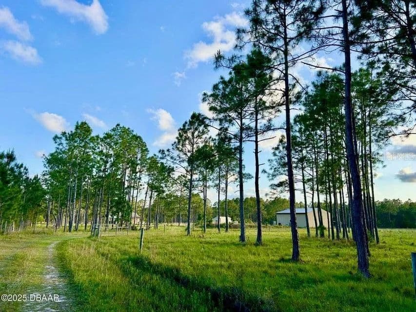 20 Acres of Land for Sale in Ormond Beach, Florida - Ormond Beach, Florida, 32174