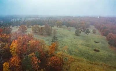 Texas County Cattle Farm Tract B