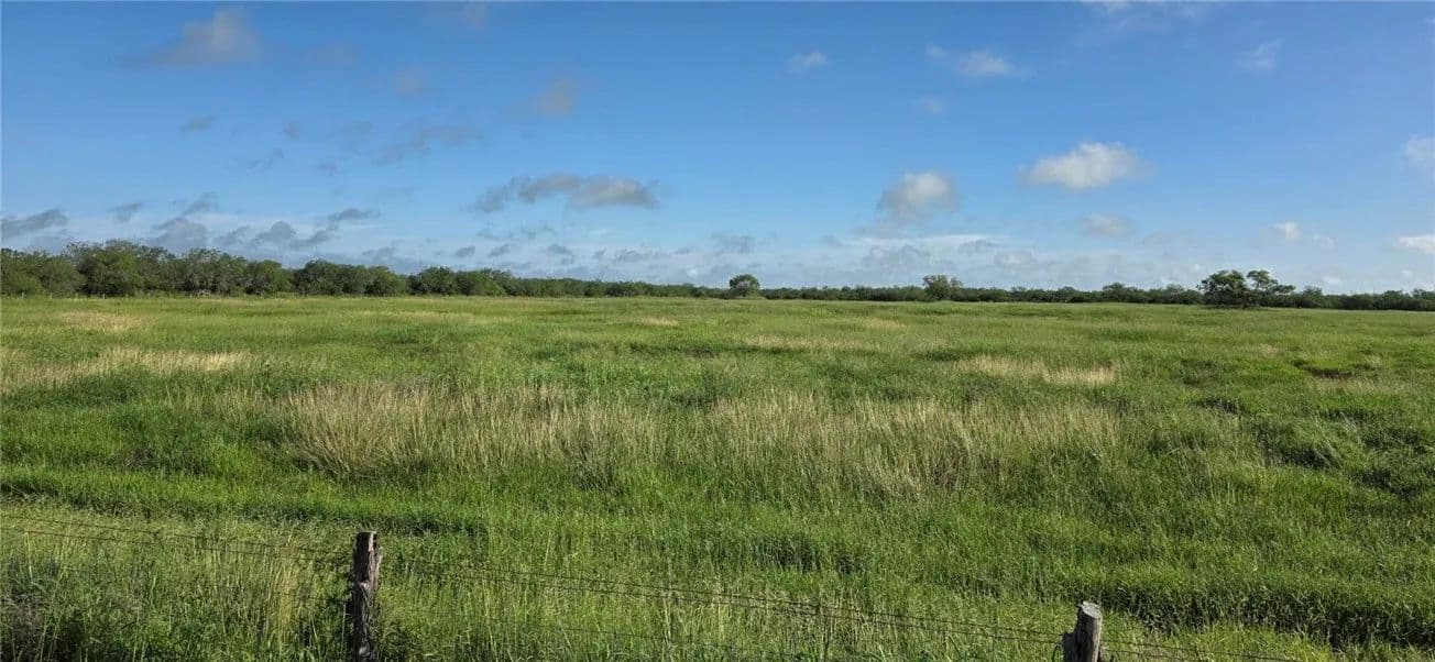 40.58 Acres of Land for Sale in Premont, Texas - Premont, Texas, 78355