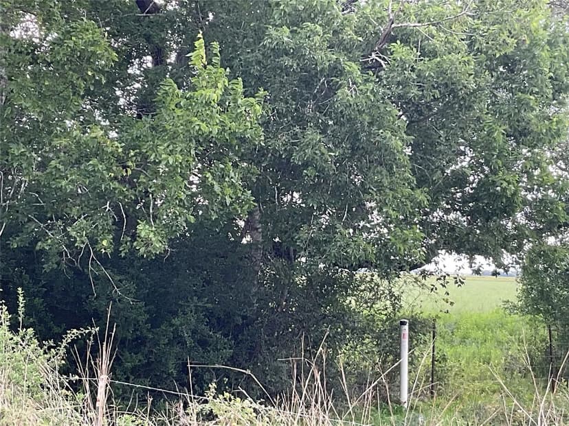 Property from TBD CR 449/Francitas Road - KW