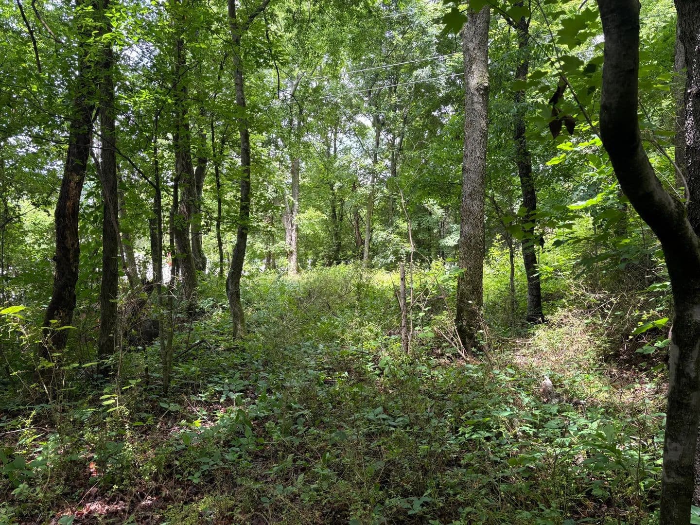Property from 0 Bellfounte Road NE - KW - Cleveland, Tennessee, 37312