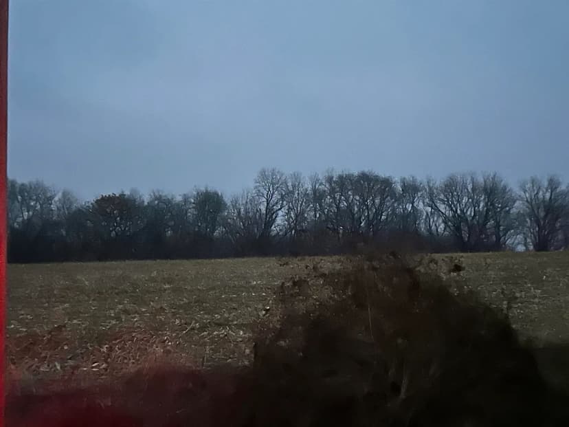 Property from Bellview Road - KW