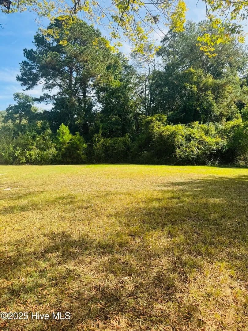 Property from 1515 Charlotte Avenue - KW - Kinston, North Carolina, 28501