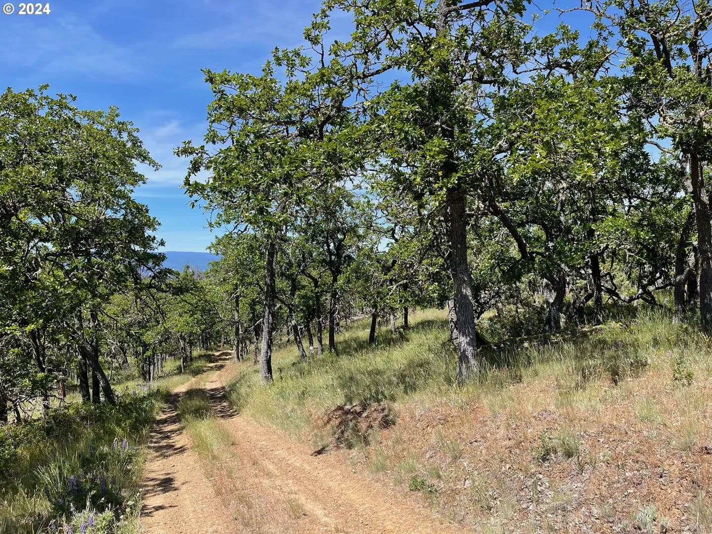 Property from 30 COLUMBIA HILLS LN - KW - Goldendale, Washington, 98620