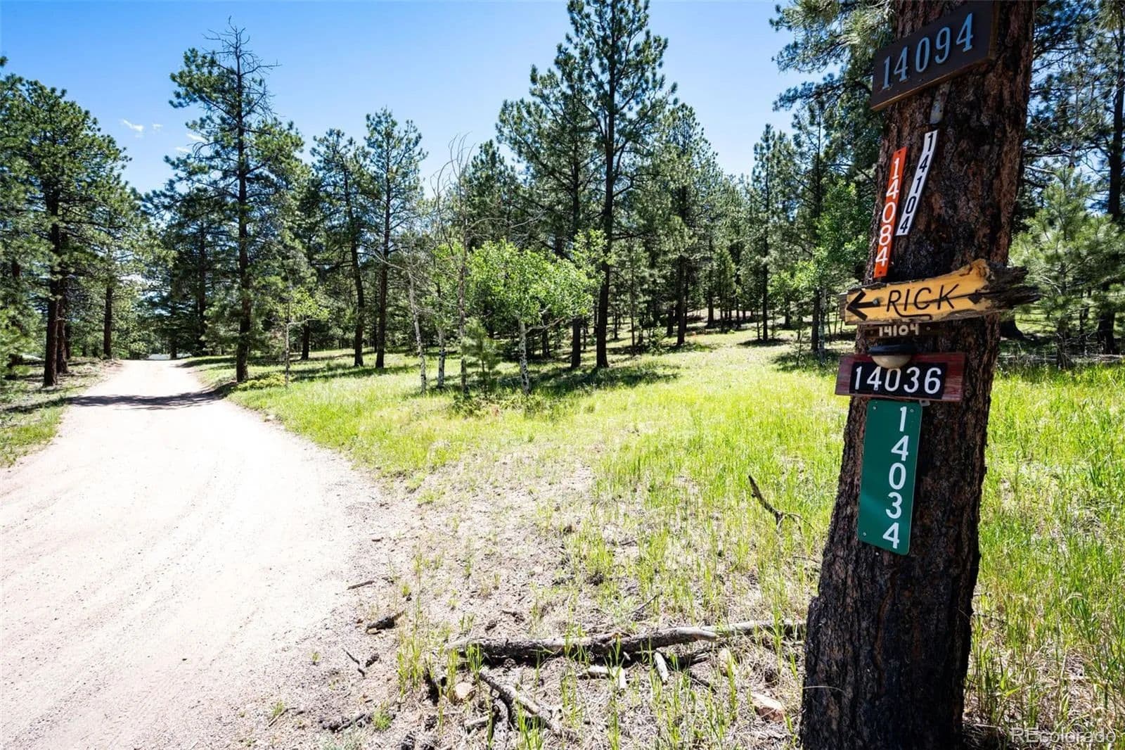 1.33 Acres of Land for Sale in Pine, Colorado - Pine, Colorado, 80470