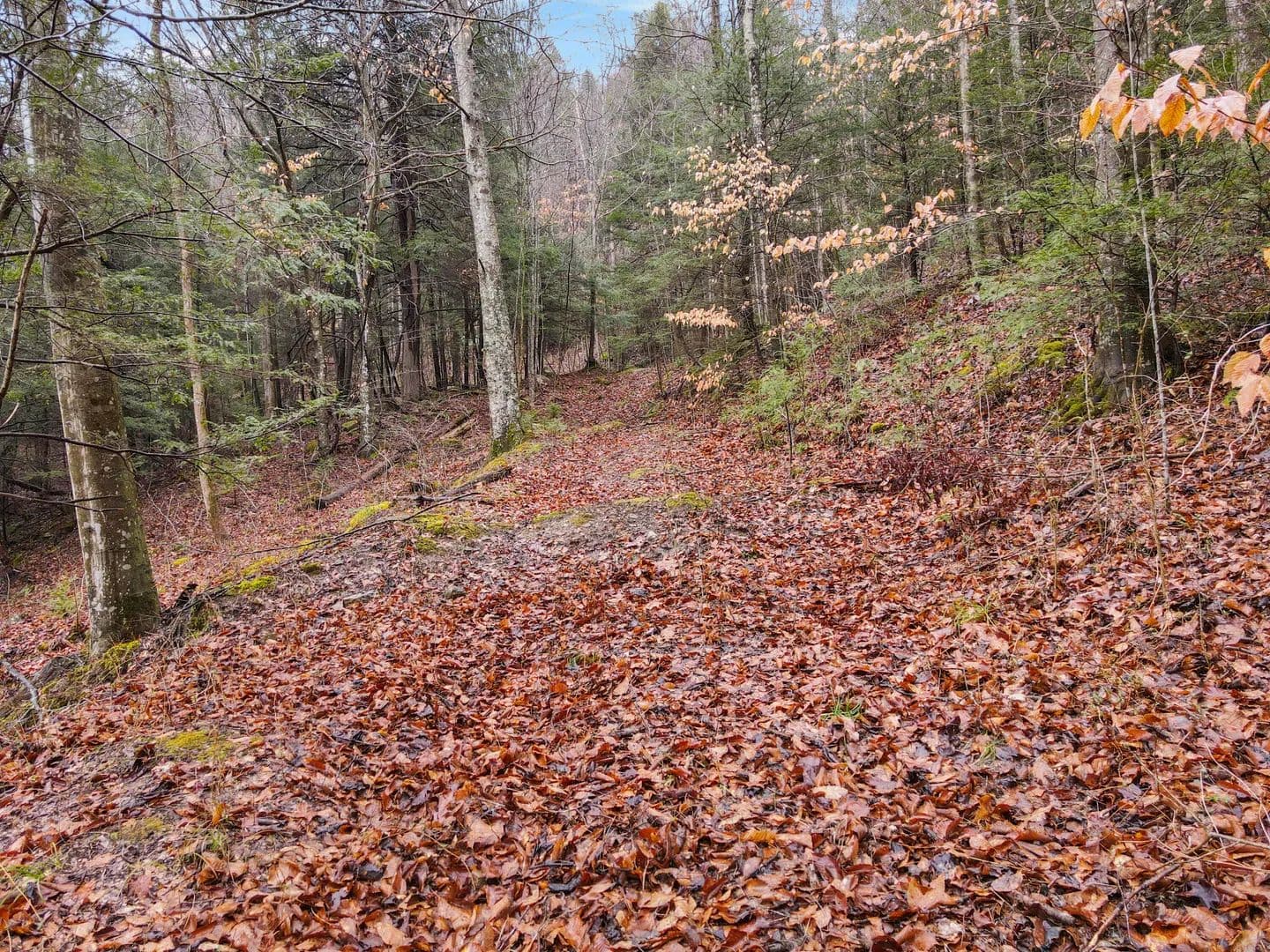 30 Acres of Land for Sale in Stanton, Kentucky - Stanton, Kentucky, 40380
