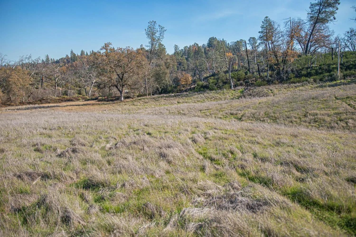 20 Acres of Land for Sale in Cool, California - Cool, California, 95614