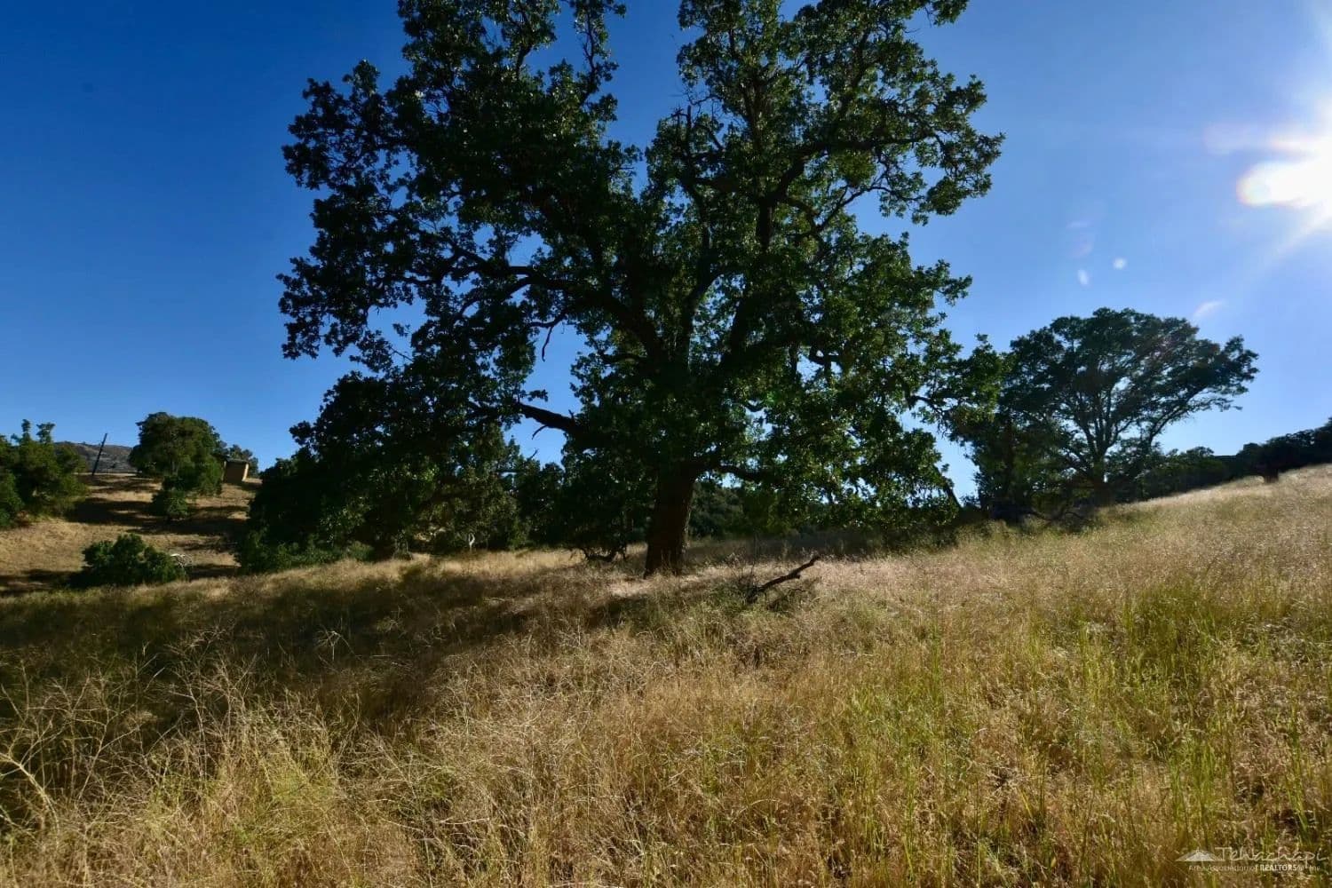1.54 Acres of Land for Sale in Tehachapi, CA - Tehachapi, California, 93561