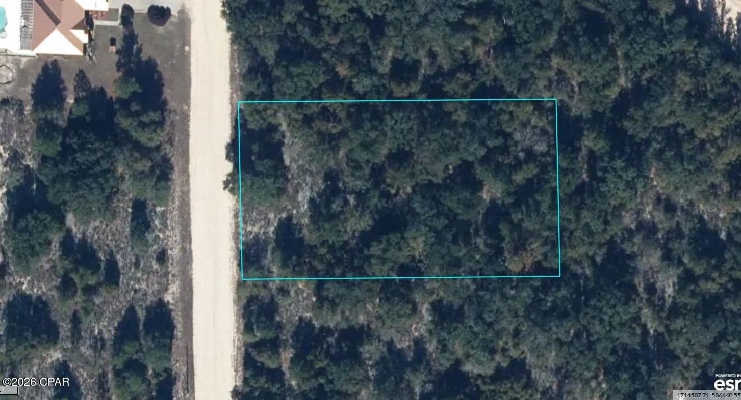 Property from TBD Chipola Drive - KW - Marianna, Florida, 32448
