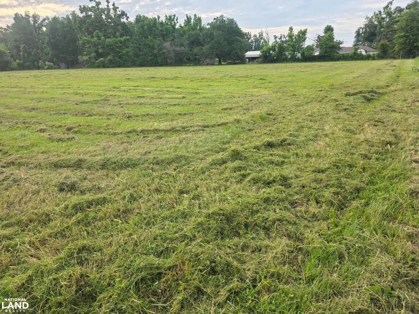 Meta House Lot A-Epps, LA - land for sale
