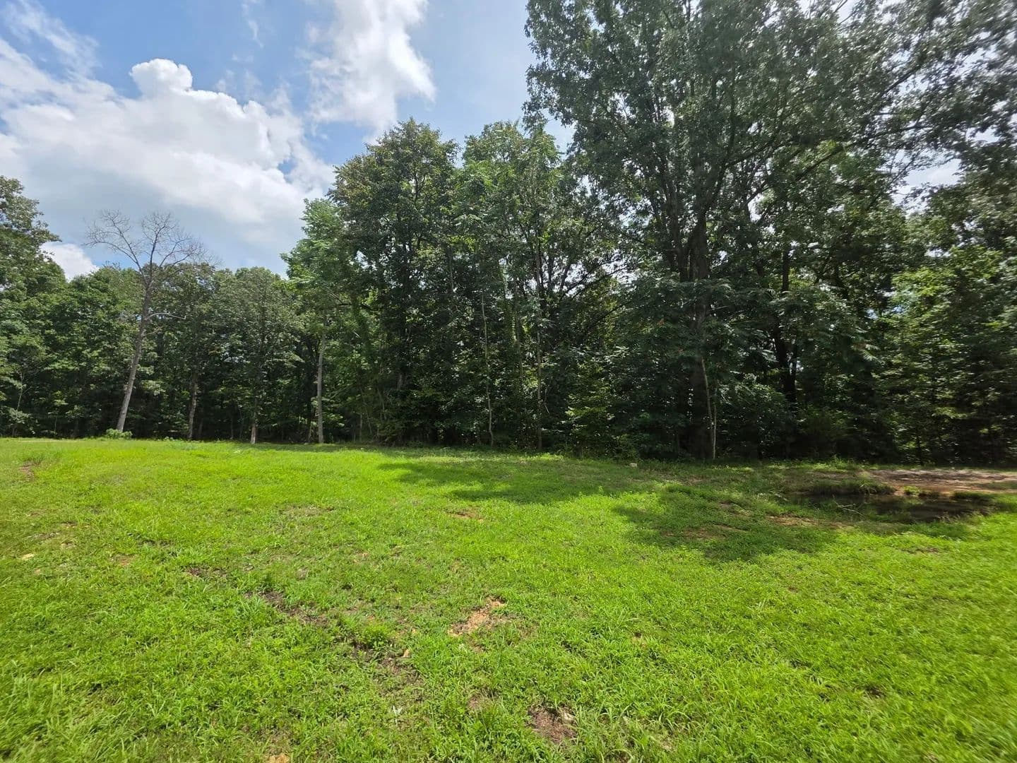 Property from 0 Baggett Hollow - KW - Cunningham, Tennessee, 37052