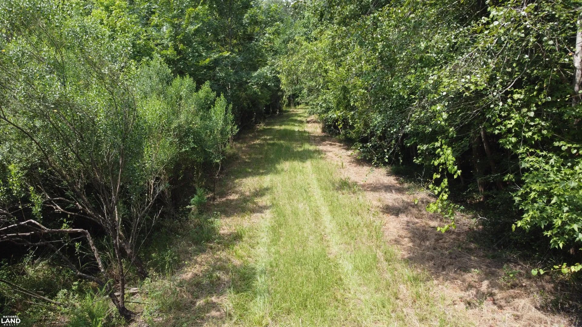 Cypress Swamp Recreational Paradise - Ridgeville, South Carolina, 29472