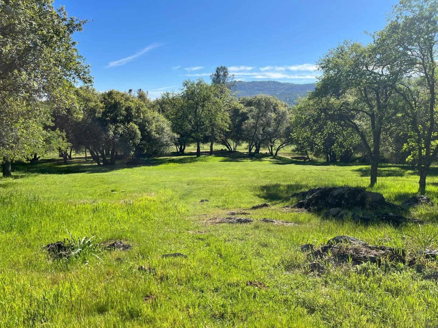Lots & Land-Other in Angels Camp - Angels Camp, California, 95222