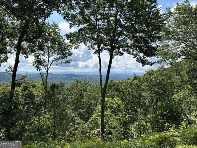 2.28 Acres of Land for Sale in Ellijay, GA - Ellijay, Georgia, 30540