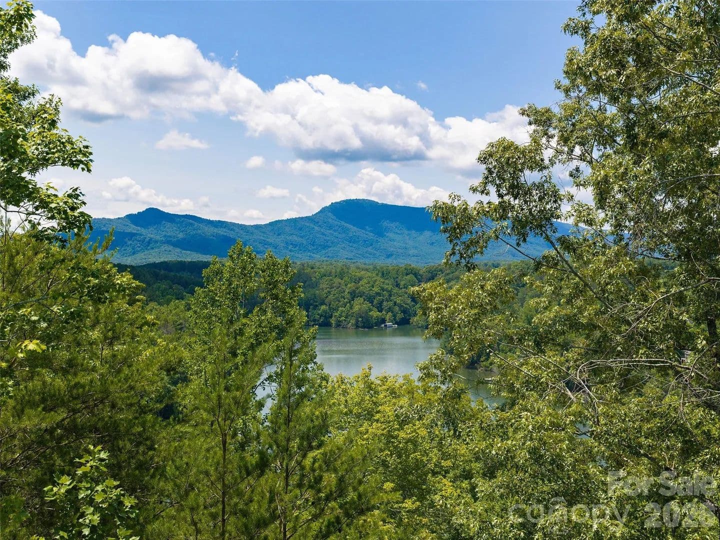 2.82 Acres of Land for Sale in Mill Spring, NC - Mill Spring, North Carolina, 28756