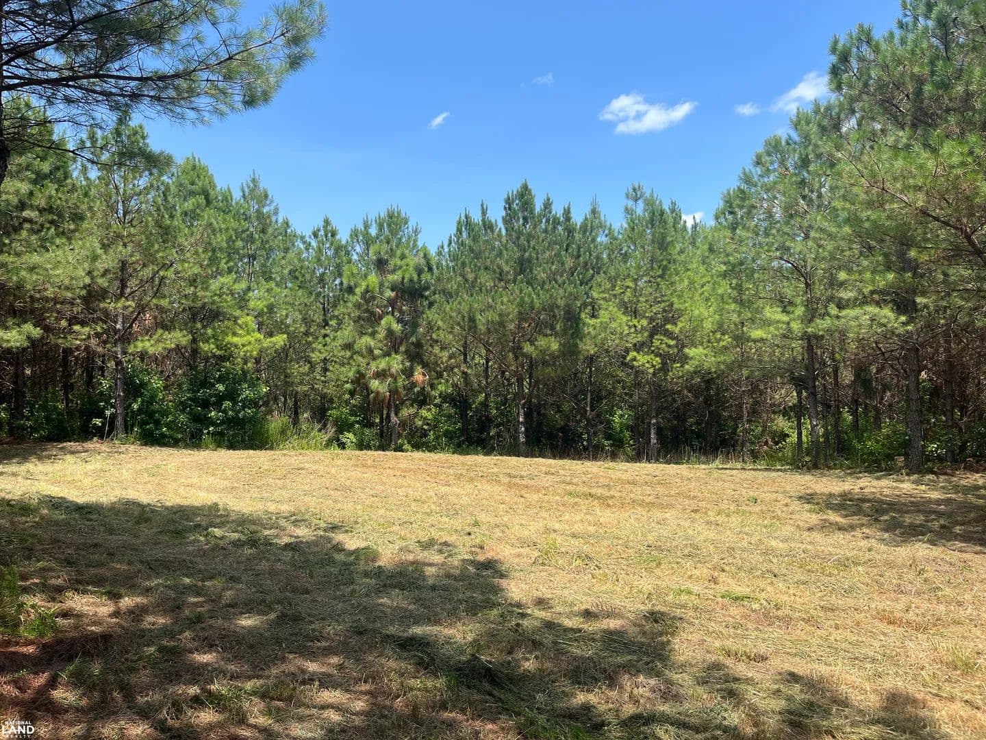 61-acre Longleaf Plantation and Hunting Tract - Winfield, Alabama, 35594