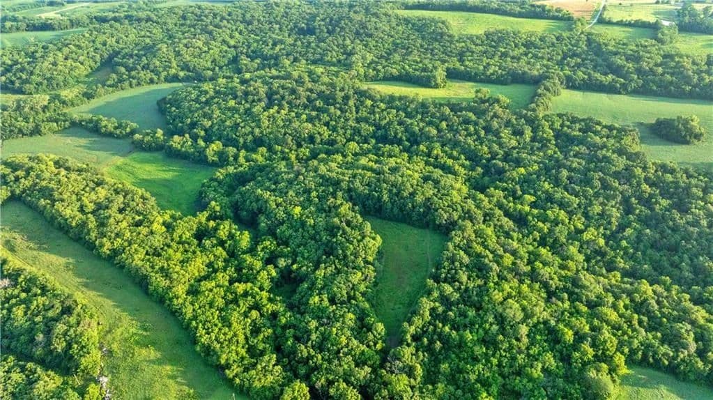 42.67 Acres of Land for Sale in Richmond, MO - Richmond, Missouri, 64085