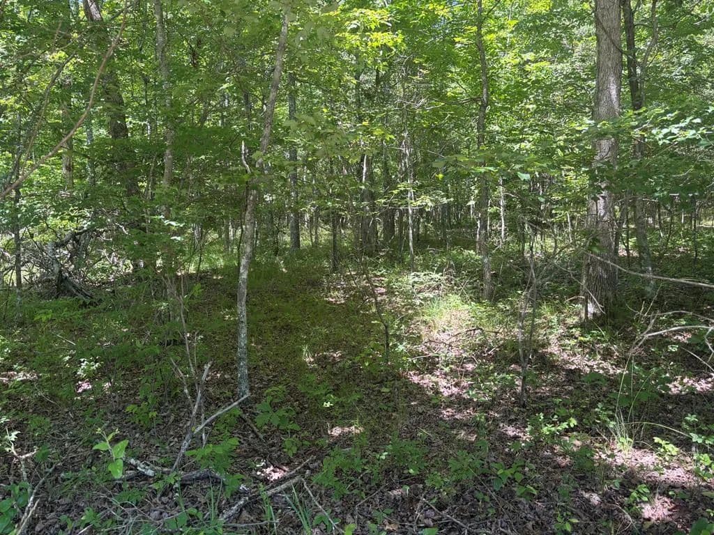3.8 Acres of Land for Sale in Spencer, Tennessee - Spencer, Tennessee, 38585