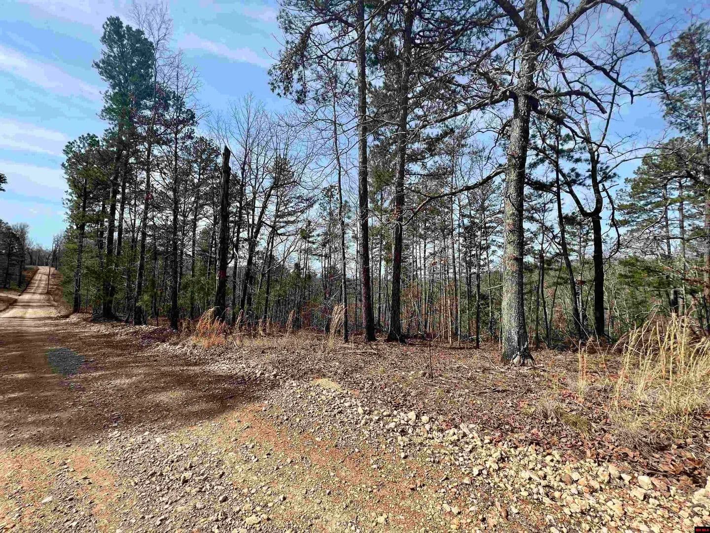 Property from Tract 6 RAMBLEWOOD TRAIL - KW - Yellville, Arkansas, 72687