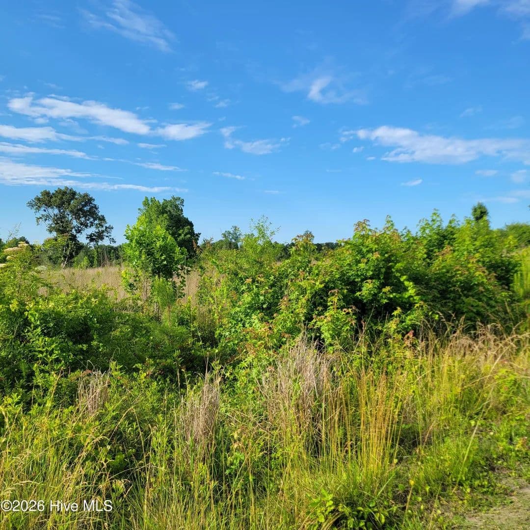 8 Acres of Land for Sale in Rocky Point, North Carolina - Rocky Point, North Carolina, 28457