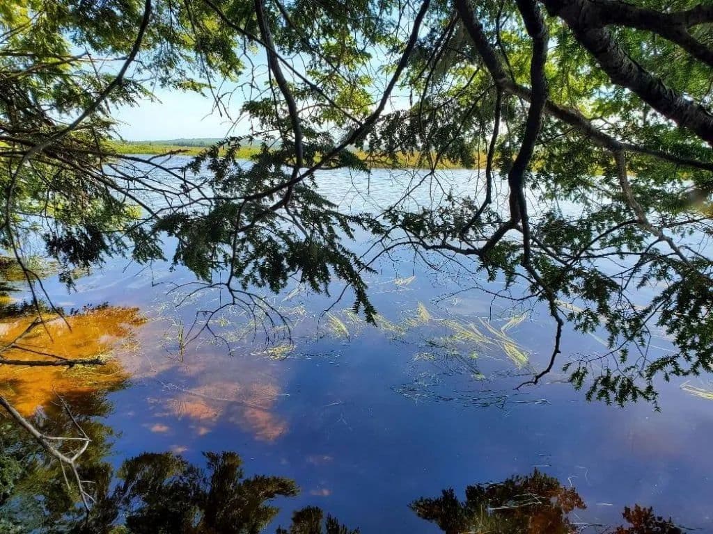 Land -Single Family Acreage in Mariaville - Mariaville, Maine, 04605