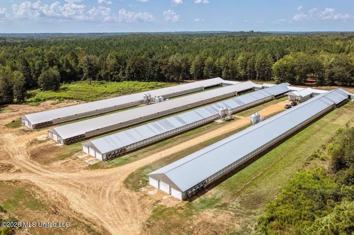 Kosciusko, MS Poultry Breeder Farm For Sale - Kosciusko, Mississippi, 39090