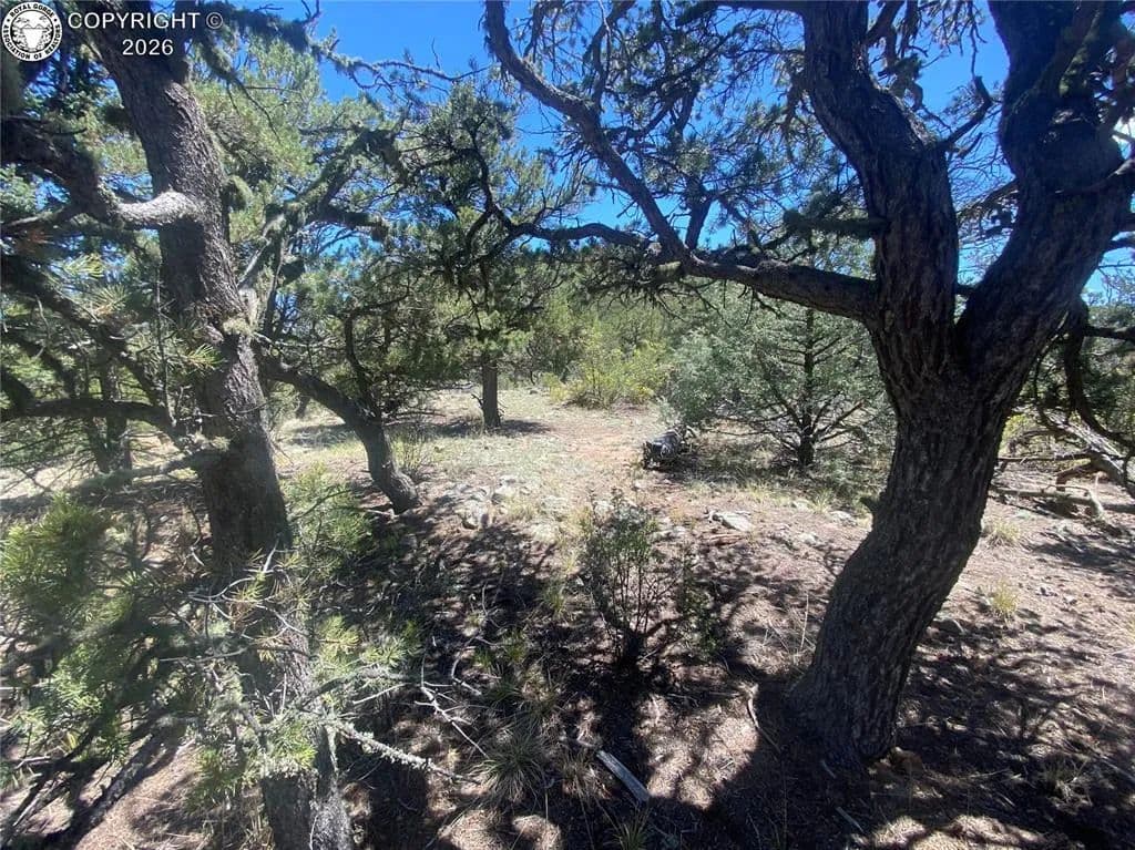 Property from TR-142 17th Trail - KW - Cotopaxi, Colorado, 81223