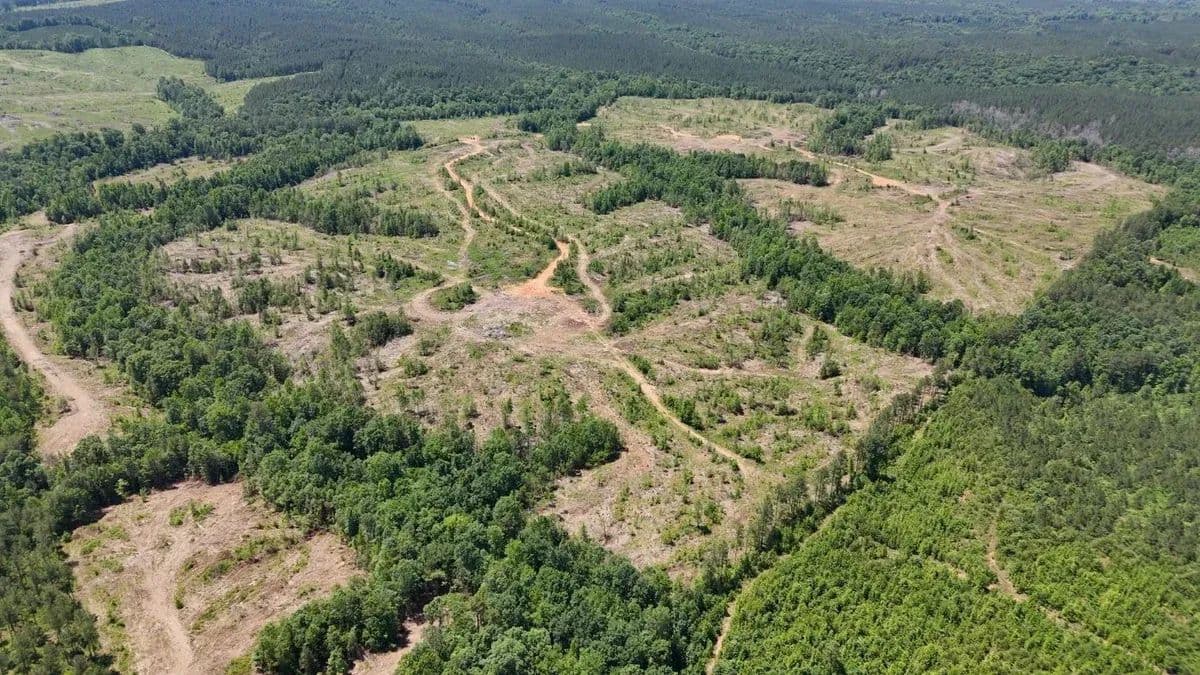 Big Mountain Creek Tract - Ellerbe, North Carolina, 28338
