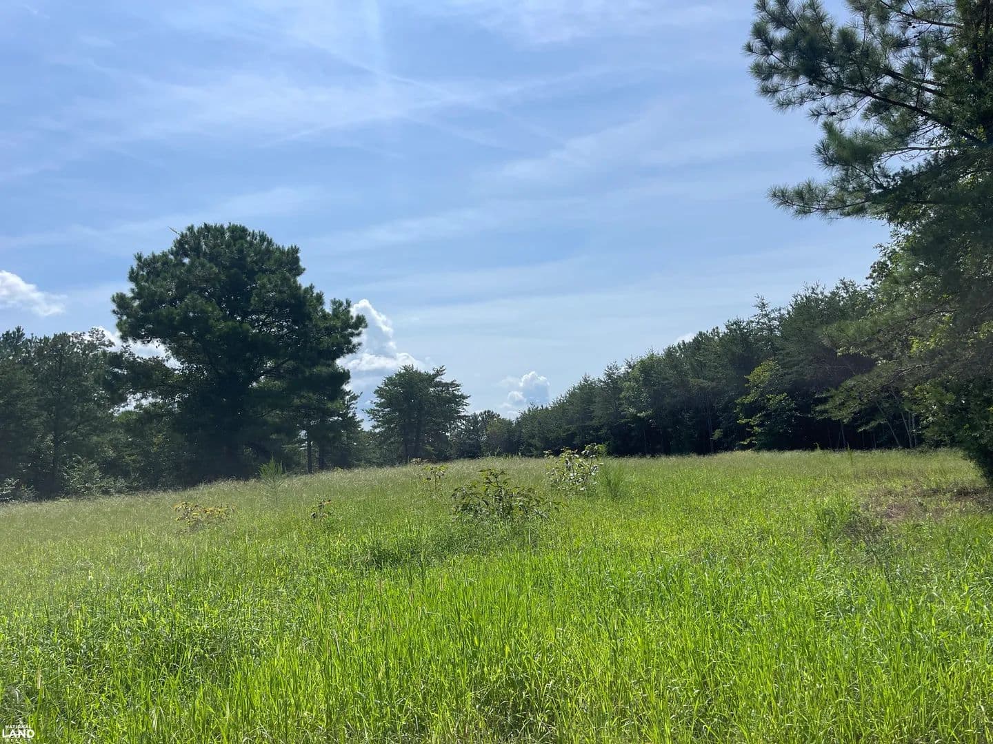 Turner Road Development Tract - Tuscaloosa, Alabama, 35406
