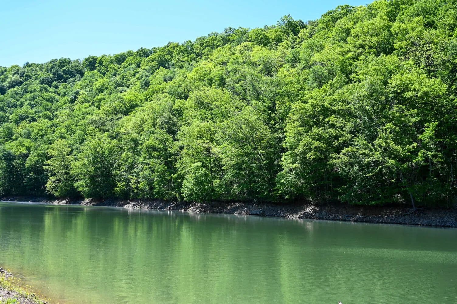 Powell River Retreats | Riverfront, Residential & Investment Properties – Lot 139 - Speedwell, Tennessee, 37870