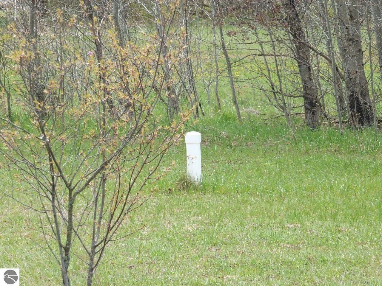 Vacant Land in Kingsley - Kingsley, Michigan, 49649