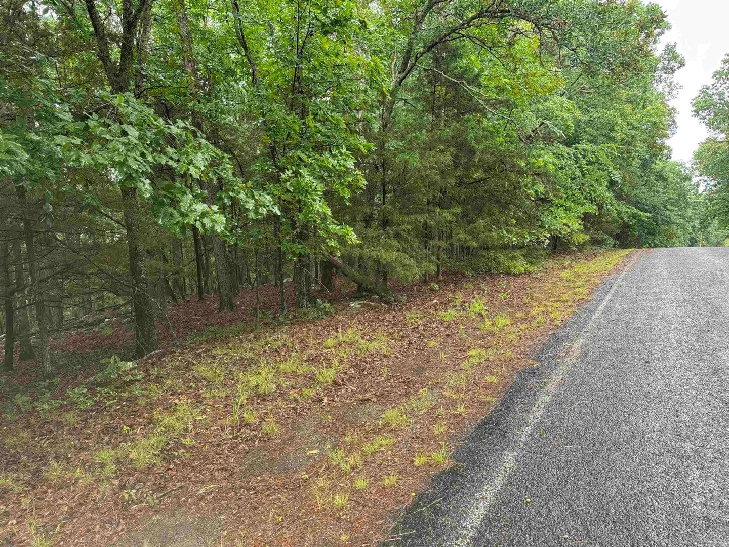0.24 Acres of Land for Sale in Fairfield Bay, Arkansas - Fairfield Bay, Arkansas, 72088