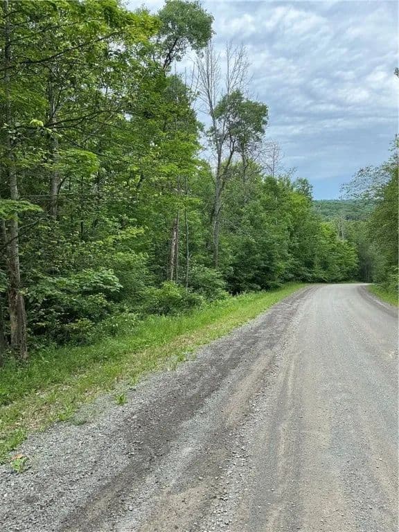 25 Acres of Land for Sale in Van Etten, New York - Van Etten, New York, 14889