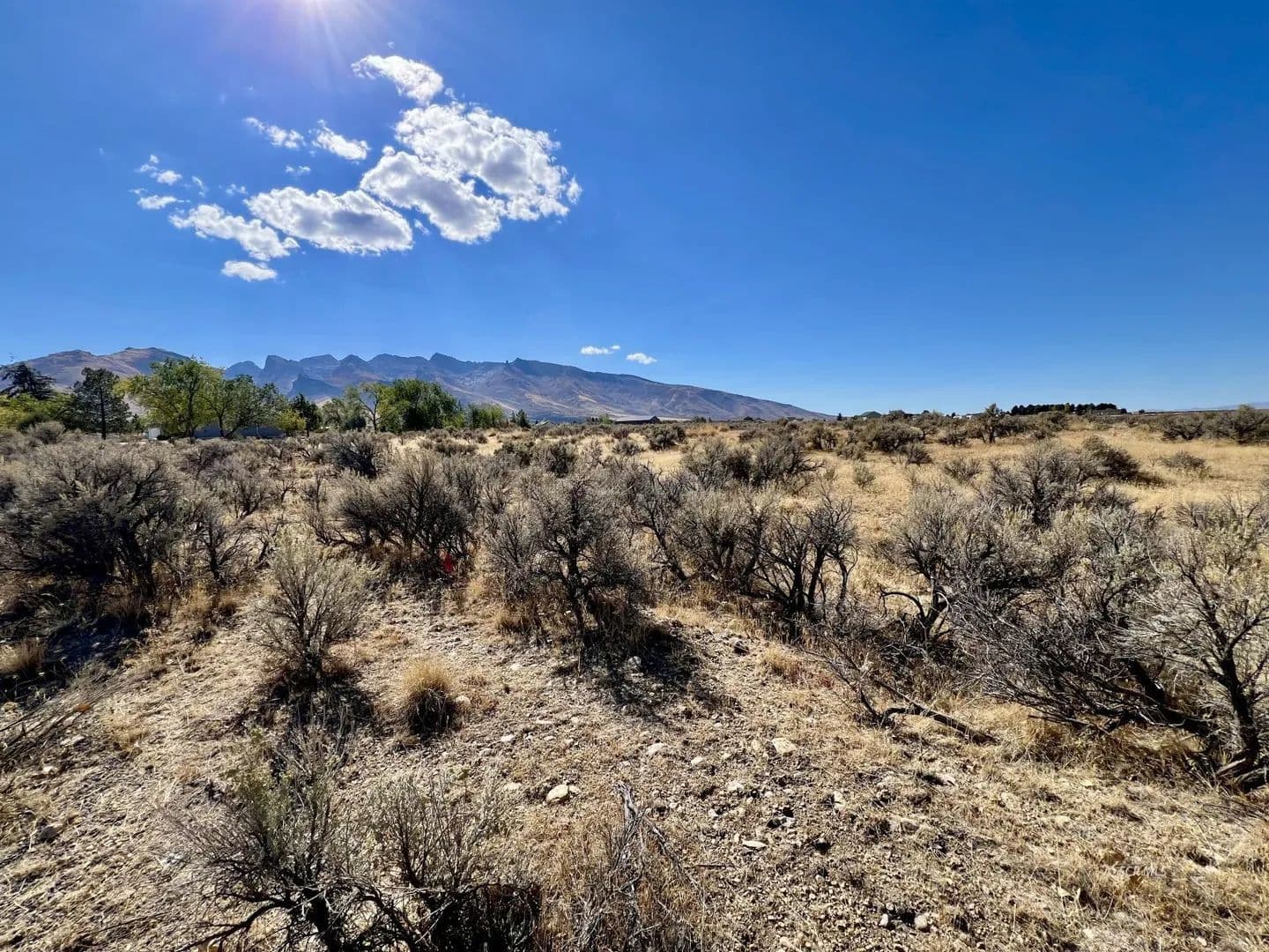 Vacant Land in Spring Creek - Spring Creek, Nevada, 89815