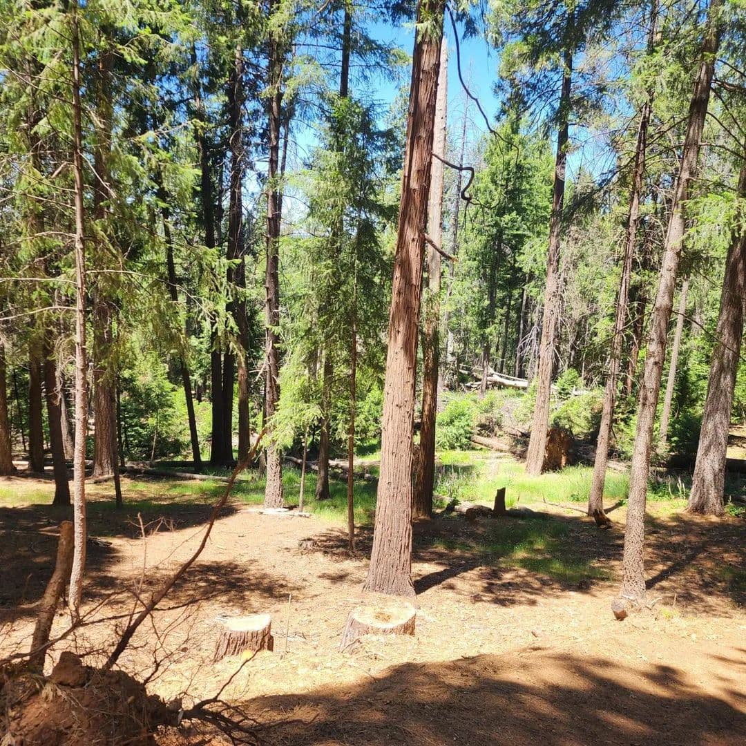0.58 Acres of Land for Sale in Pollock Pines, CA - Pollock Pines, California, 95726