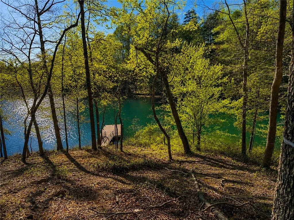 1.09 Acres of Land for Sale in Six Mile, South Carolina - Six Mile, South Carolina, 29682
