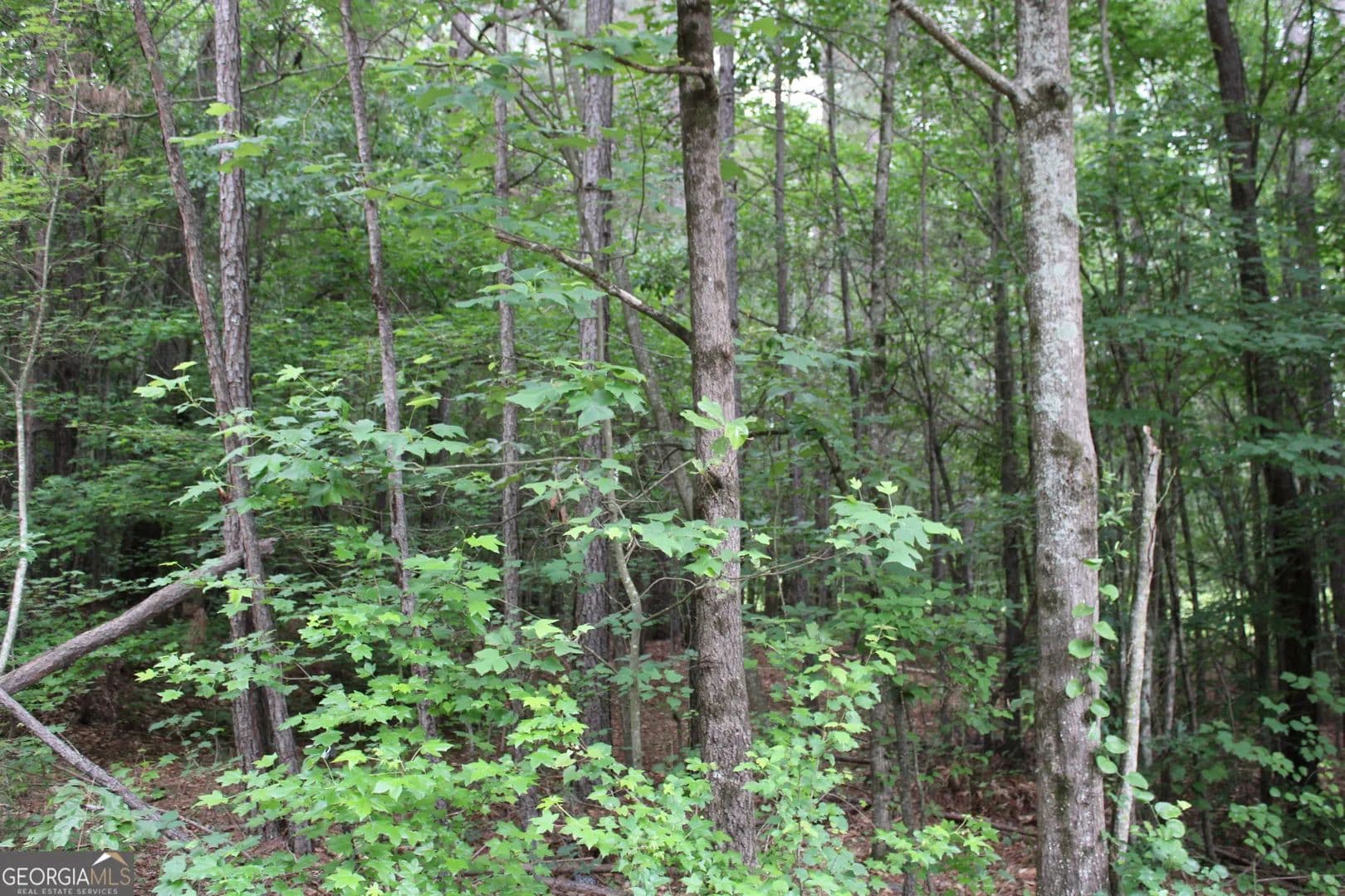 10.47 Acres of Land for Sale in Hull, Georgia - Hull, Georgia, 30646
