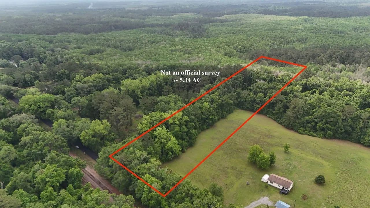 Pasture Meets Wildlife Preserve - Tallahassee, Florida, 32317