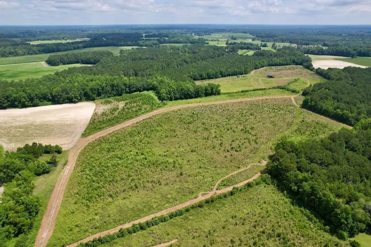 68.98 acres of Residential and Recreational Land For Sale in Horry County SC! - Green Sea, South Carolina, 29545