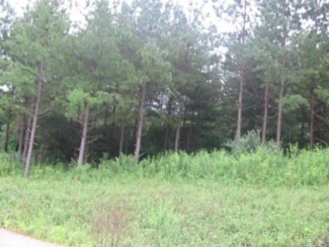 Lots & Land-Other in Pikeville - Pikeville, Kentucky, 41501