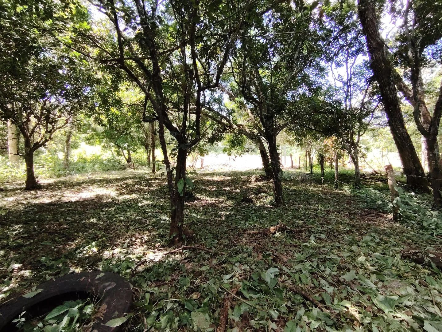 Venta de lote de 1590 m2 en Santa Marta - land for sale