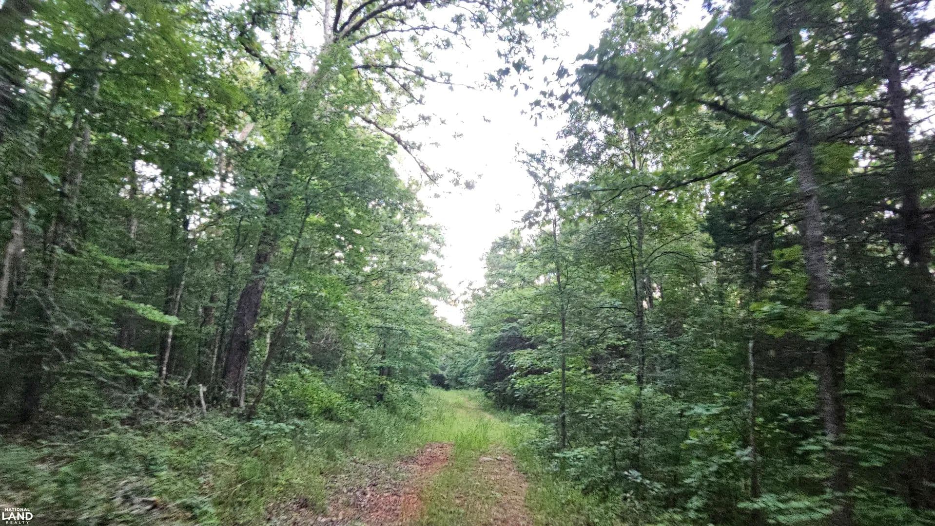 28+/- Acres Tomahawk Slab Road - Saint Joe, Arkansas, 72675